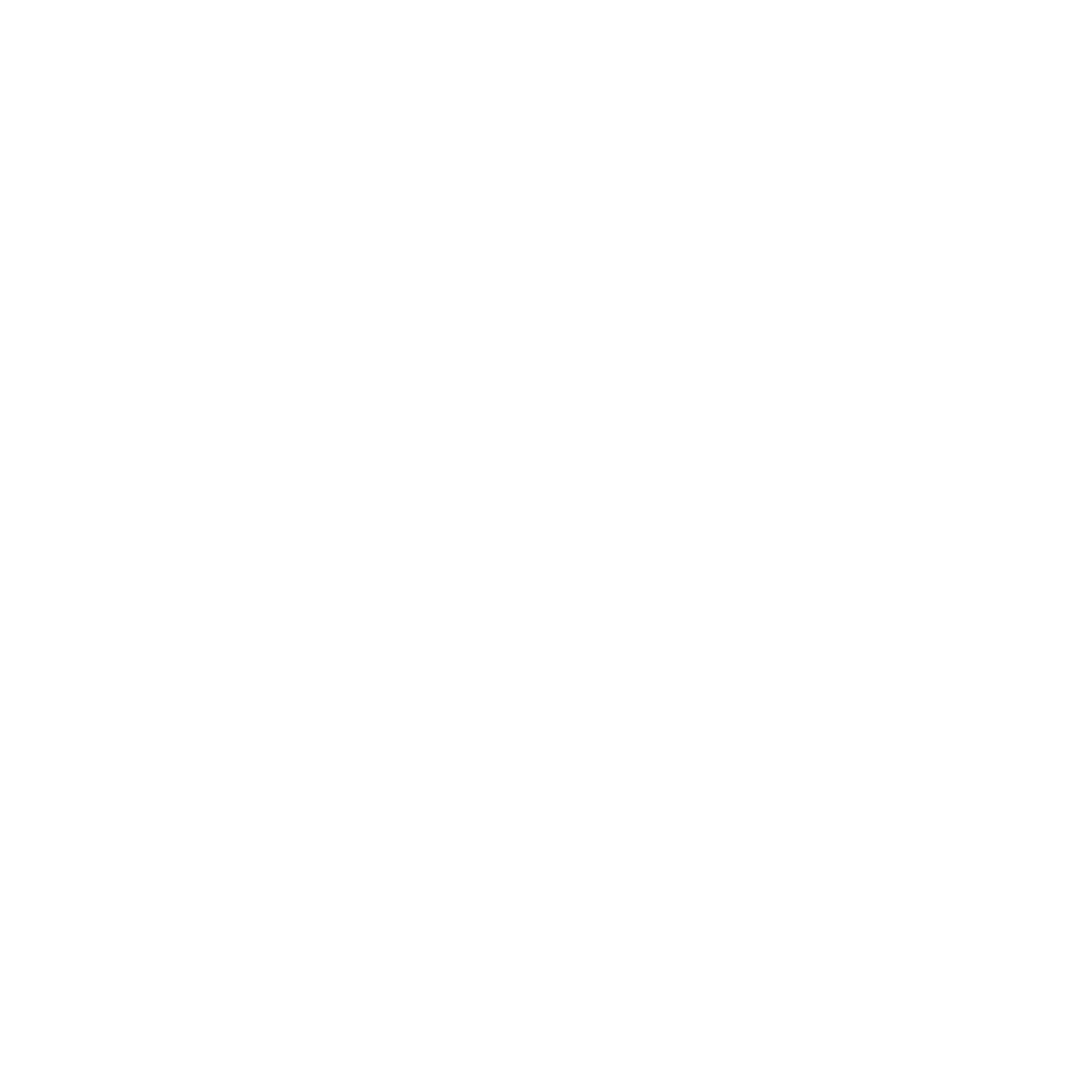logo_sao_camilo_branco_transparente_4096x4096